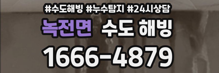 녹전면 수도 해빙