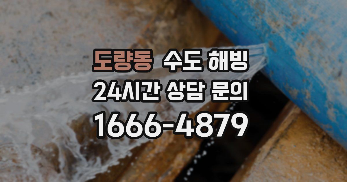 도량동 수도 해빙