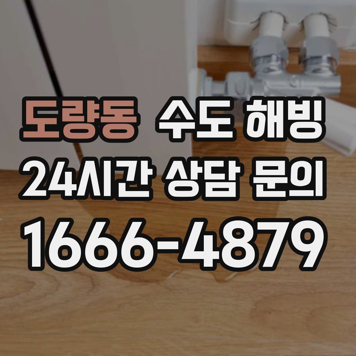 도량동 수도 해빙