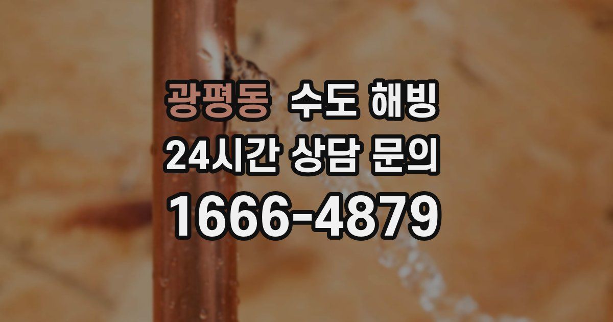 광평동 수도 해빙