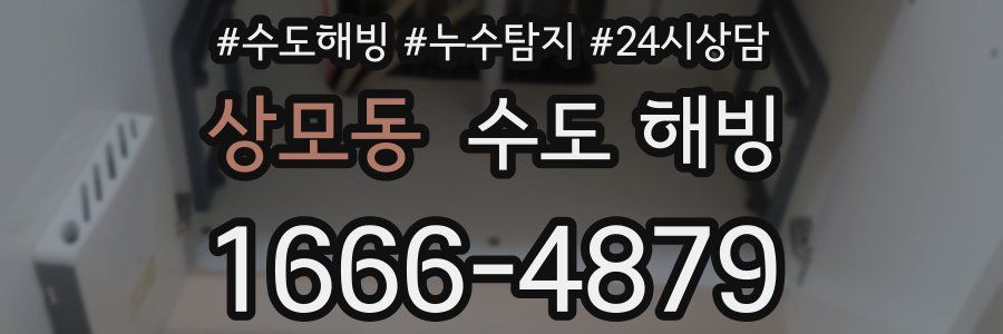 상모동 수도 해빙