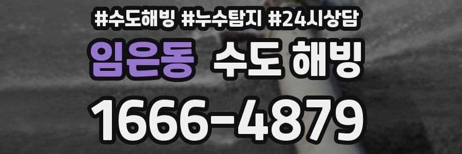 임은동 수도 해빙