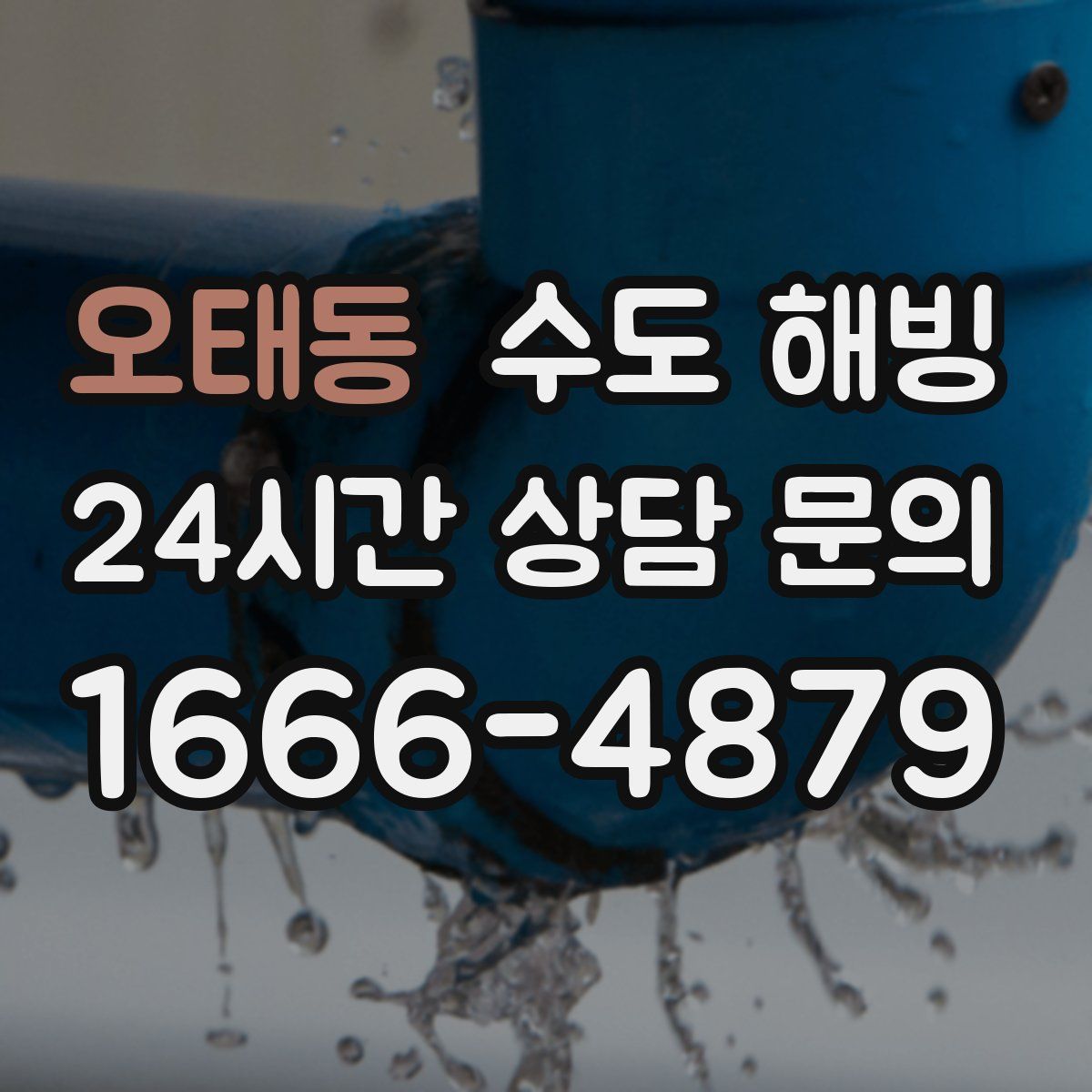 오태동 수도 해빙