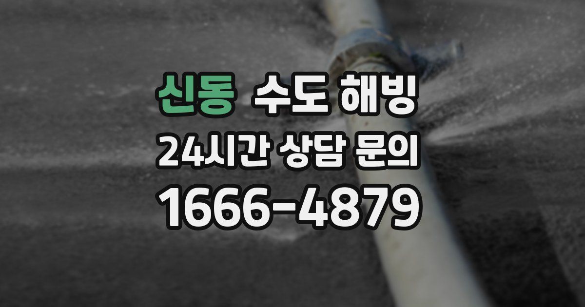 신동 수도 해빙