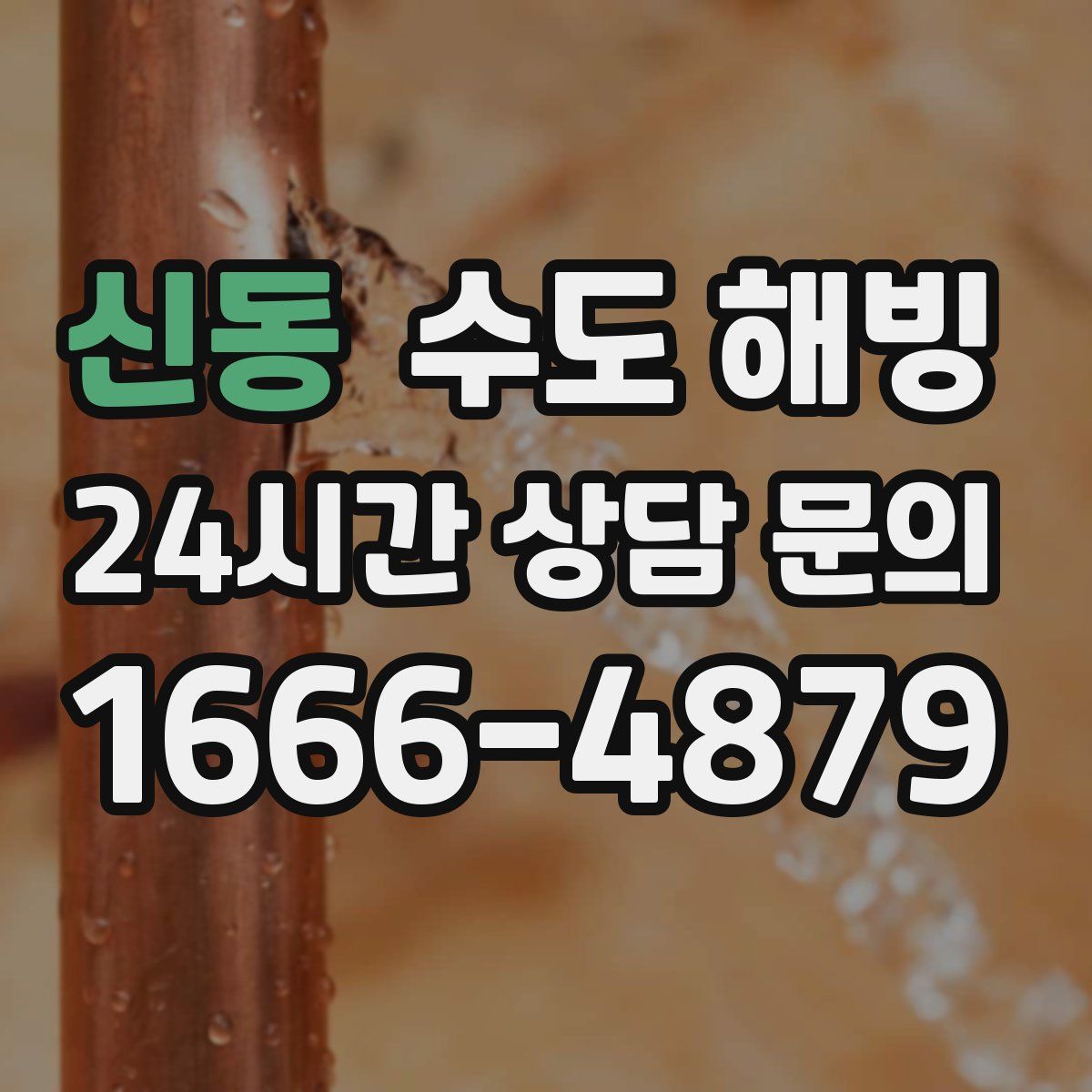 신동 수도 해빙