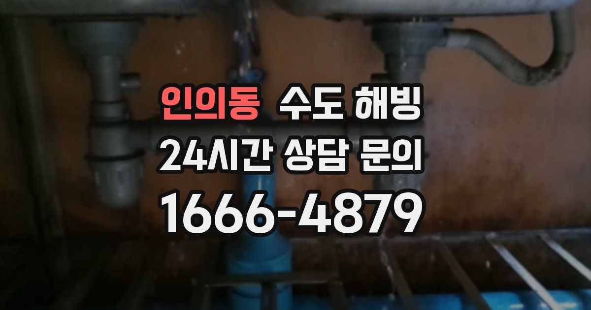 인의동 수도 해빙