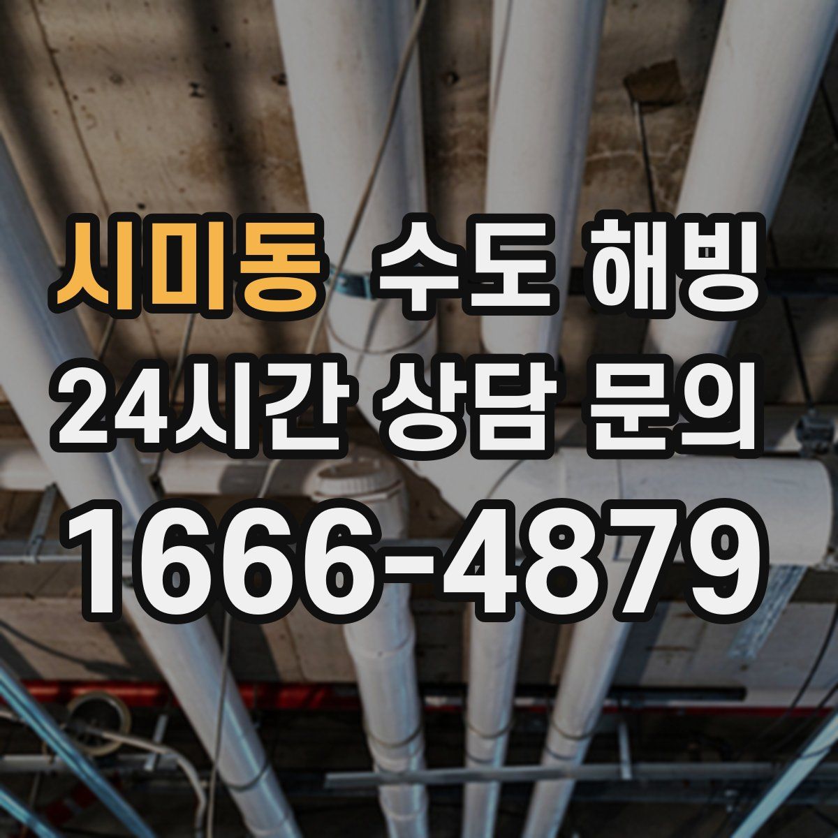 시미동 수도 해빙