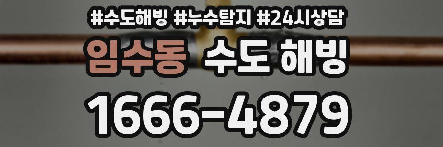 임수동 수도 해빙
