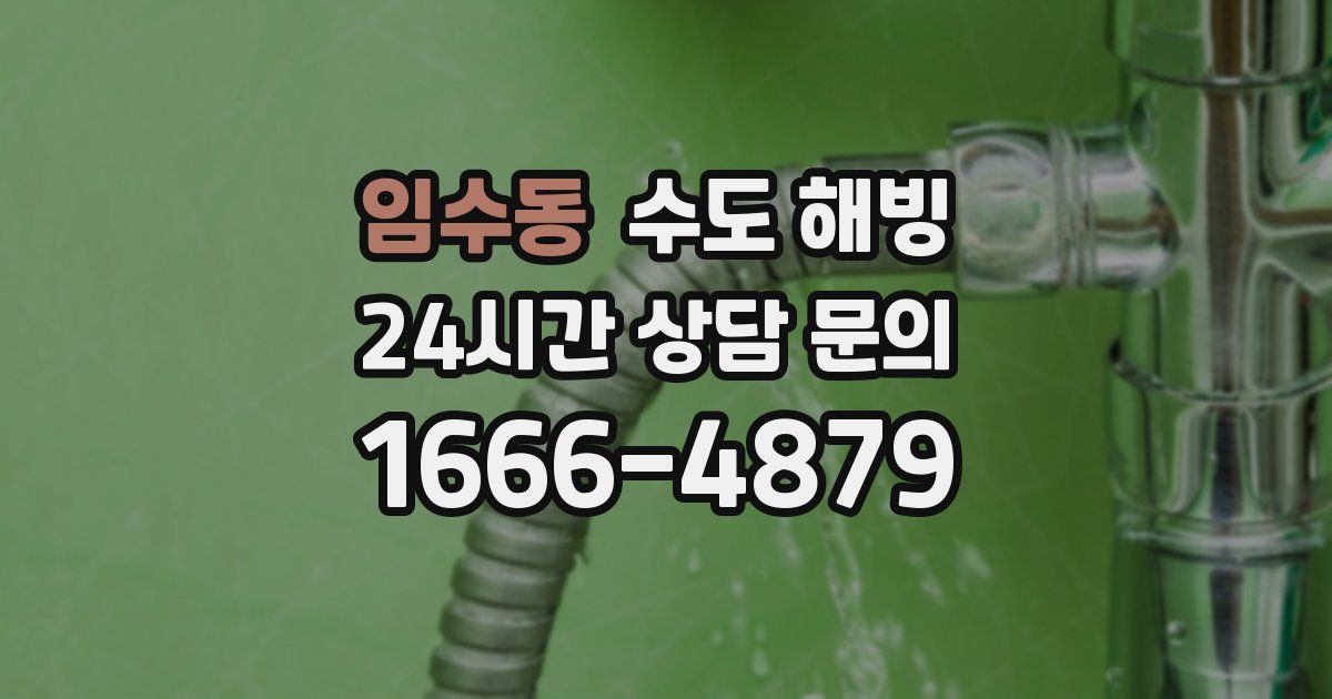 임수동 수도 해빙