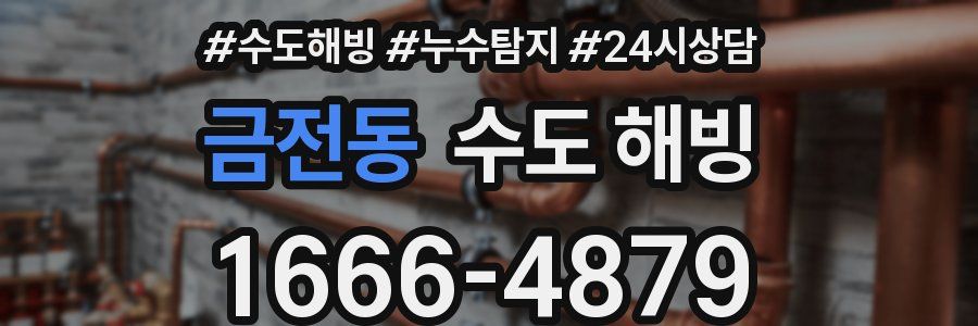 금전동 수도 해빙