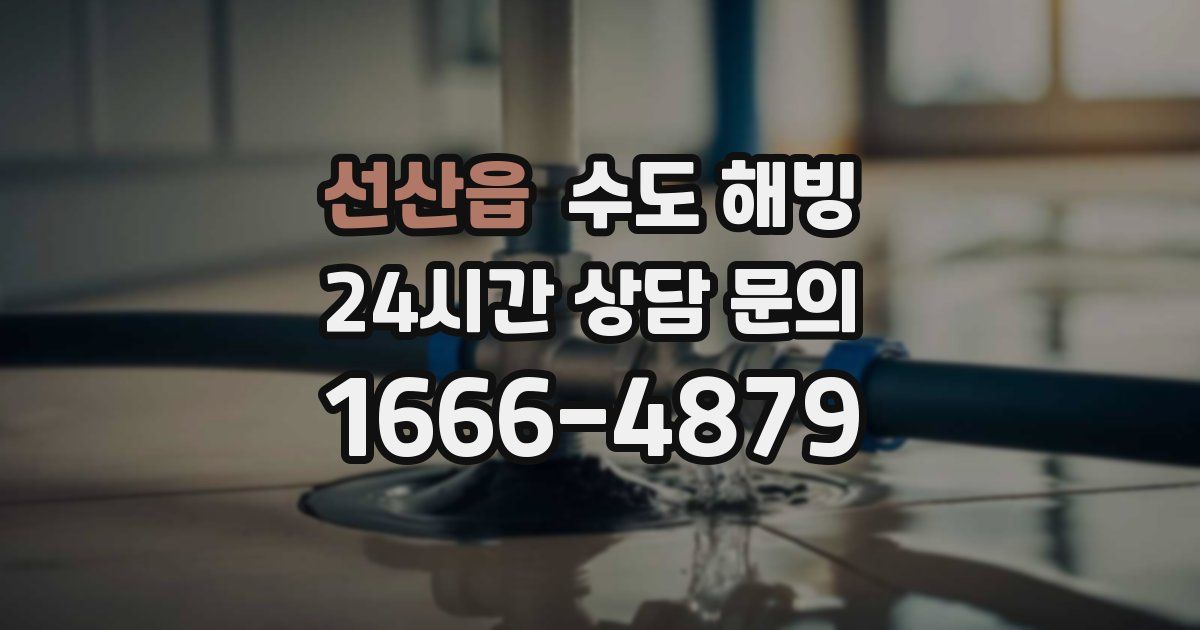 선산읍 수도 해빙