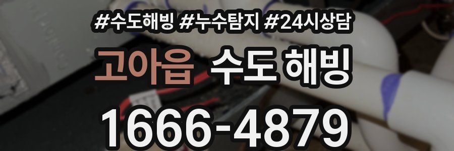 고아읍 수도 해빙