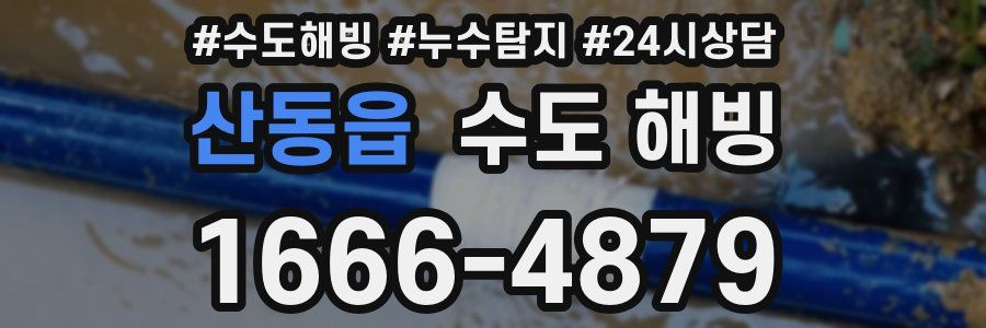 산동읍 수도 해빙