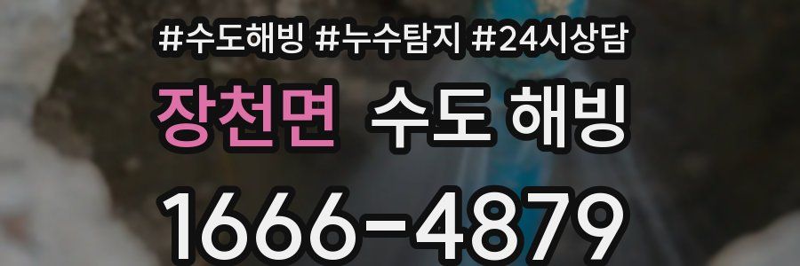 장천면 수도 해빙