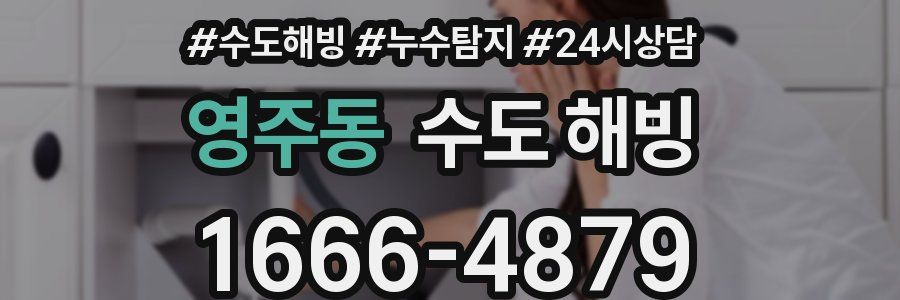 영주동 수도 해빙