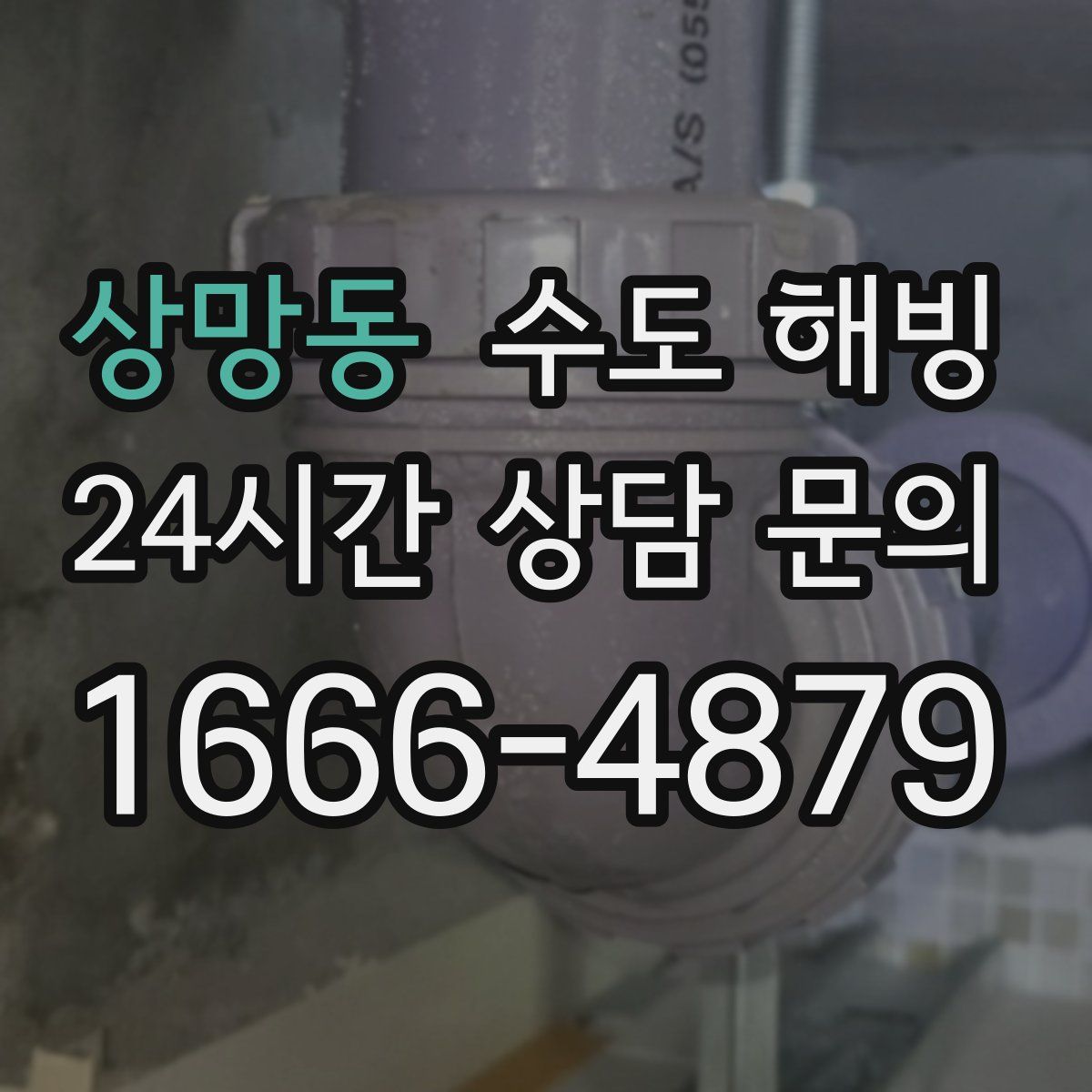 상망동 수도 해빙