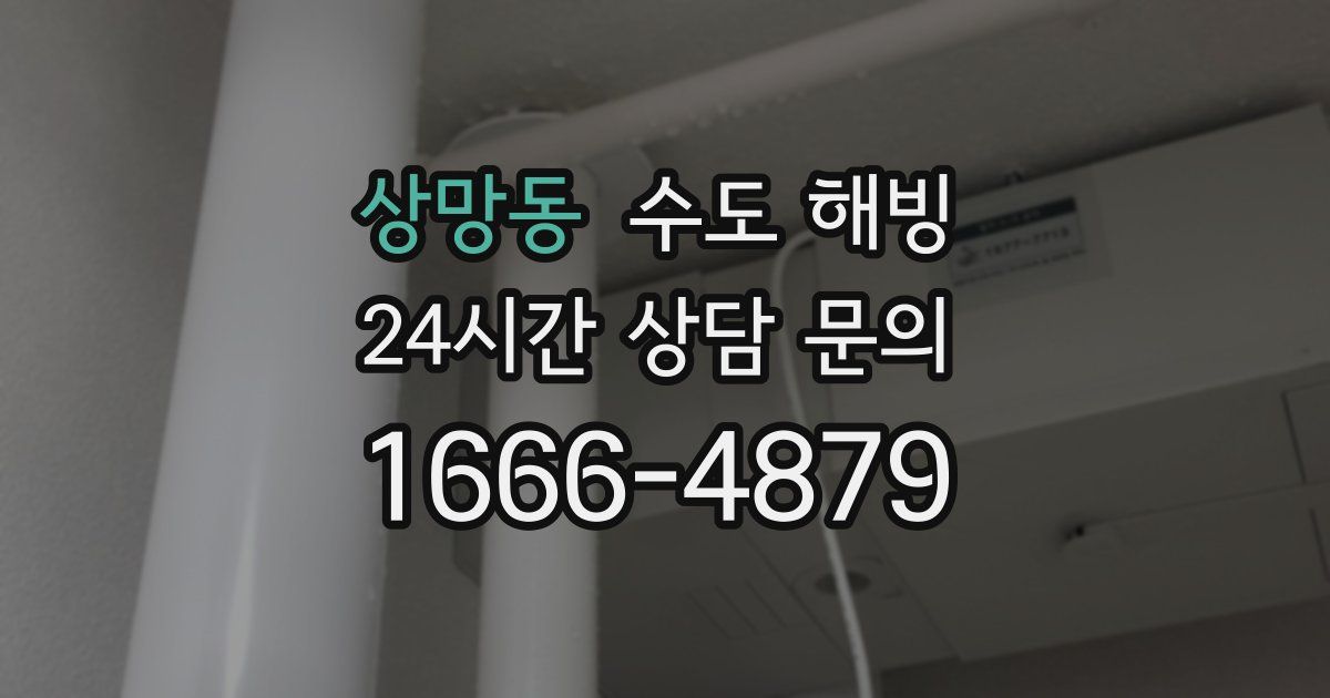 상망동 수도 해빙