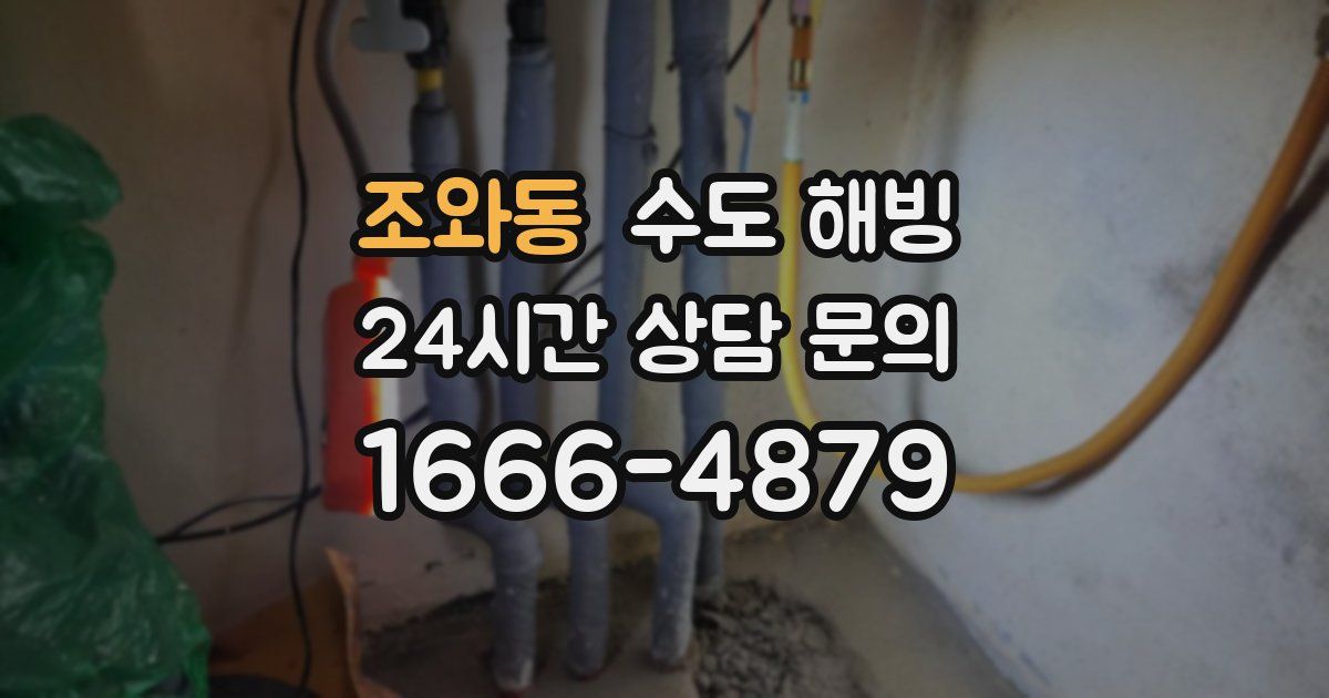 조와동 수도 해빙