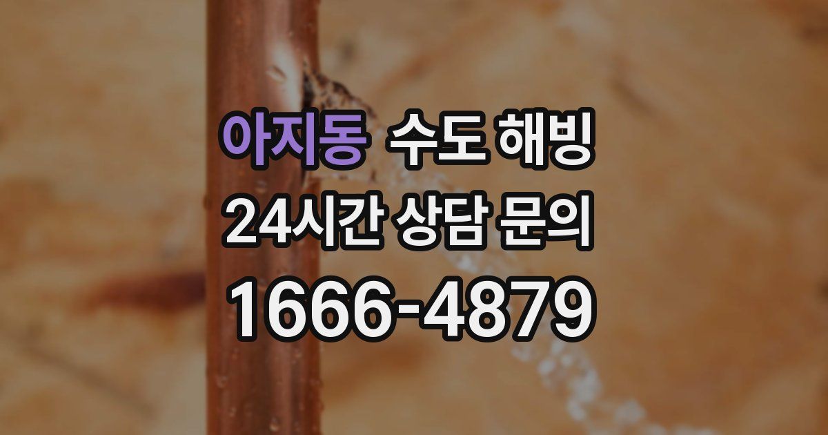 아지동 수도 해빙