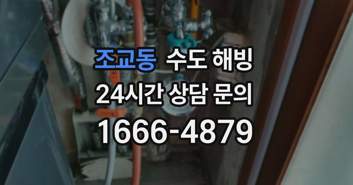 조교동 수도 해빙