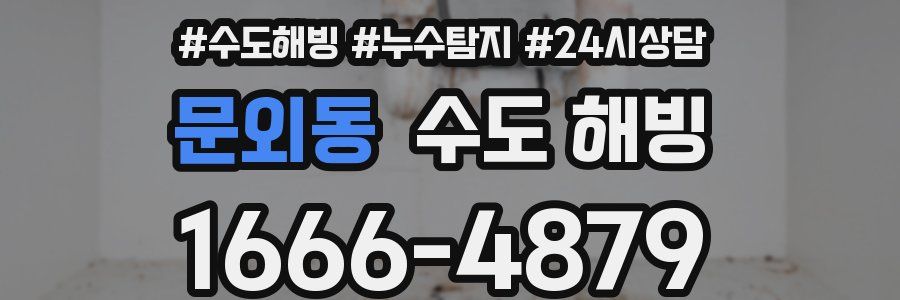 문외동 수도 해빙
