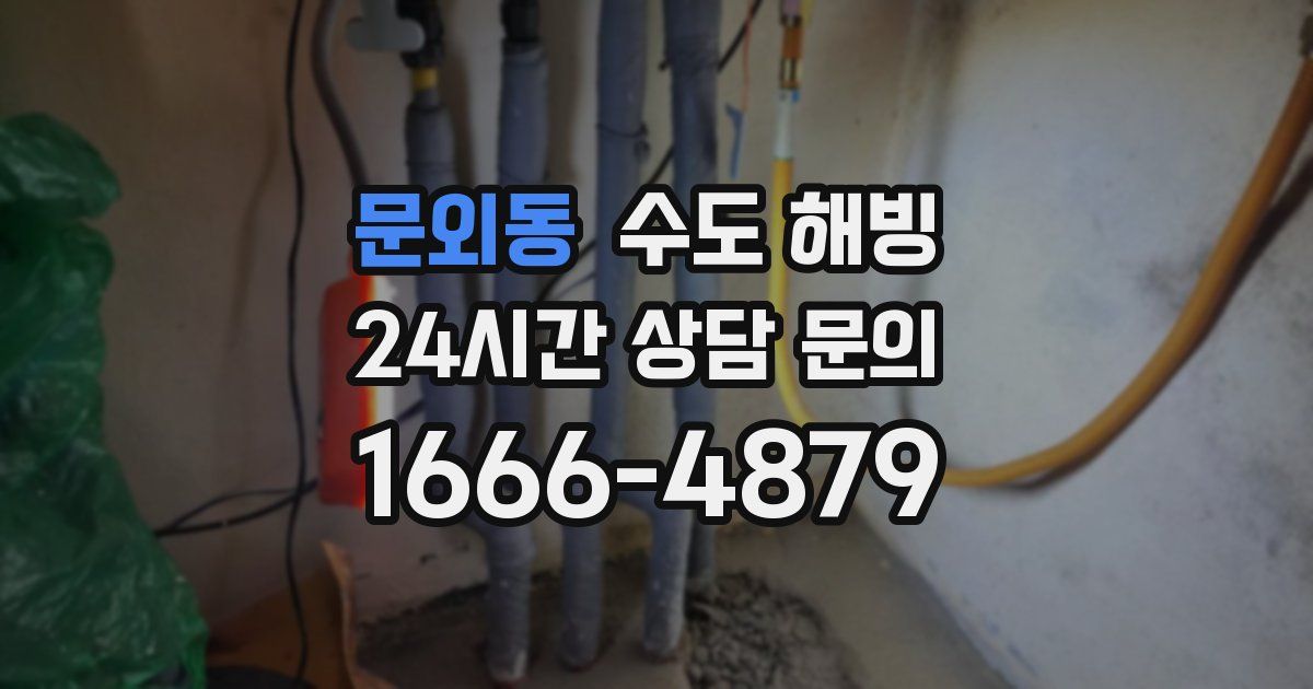 문외동 수도 해빙