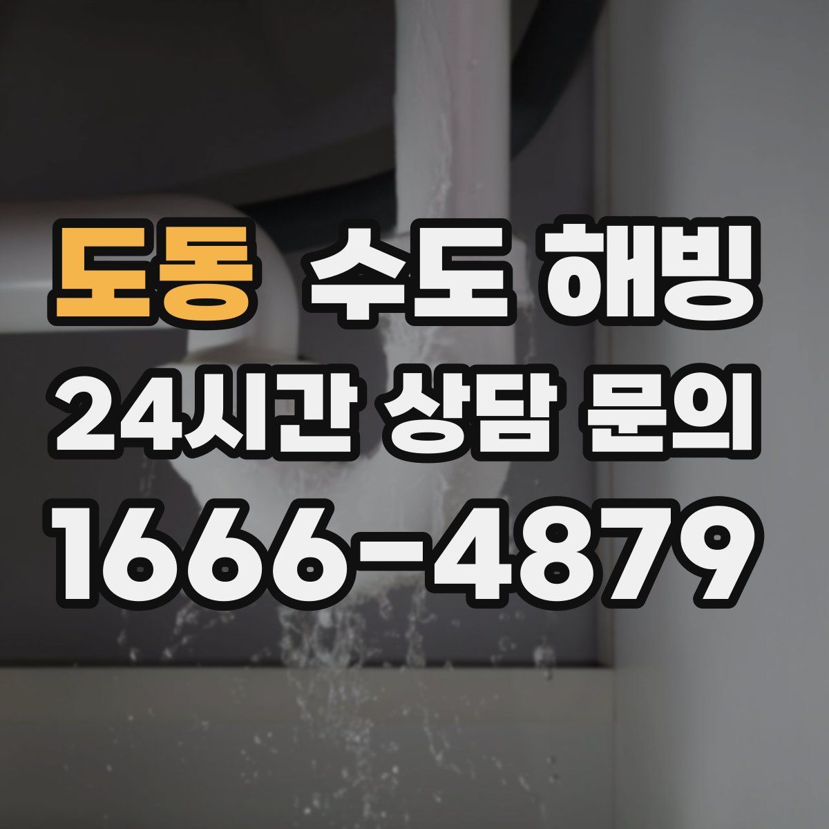 도동 수도 해빙