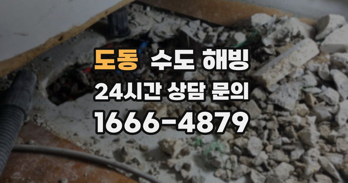 도동 수도 해빙