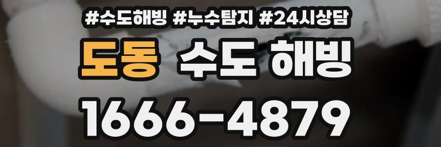 도동 수도 해빙