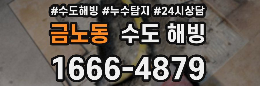 금노동 수도 해빙