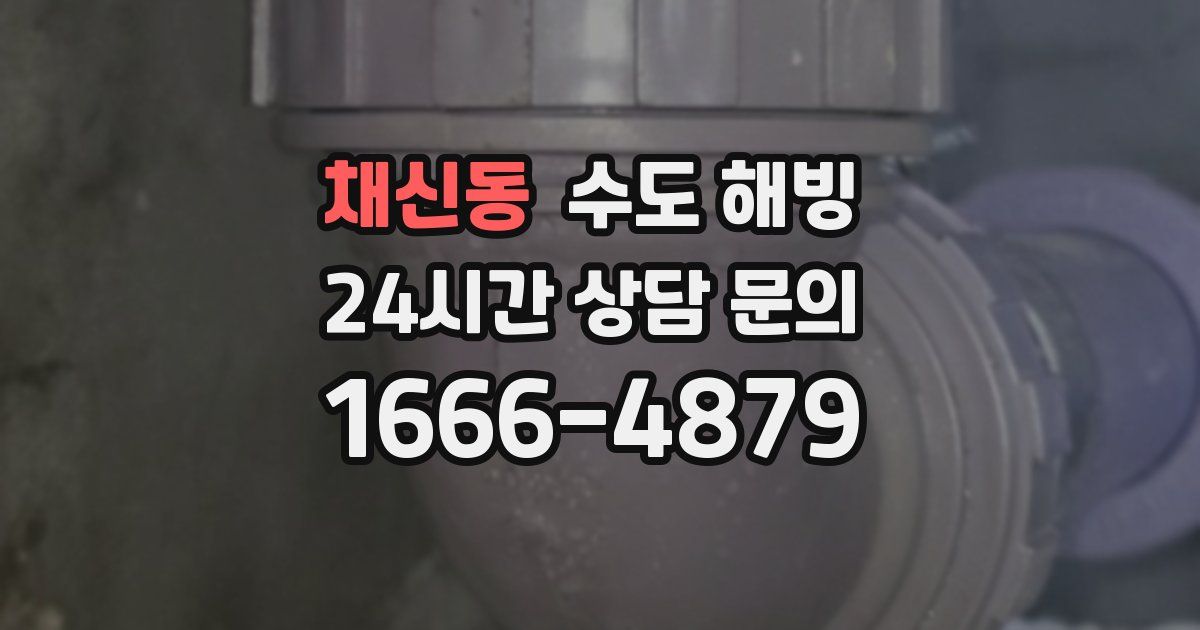 채신동 수도 해빙