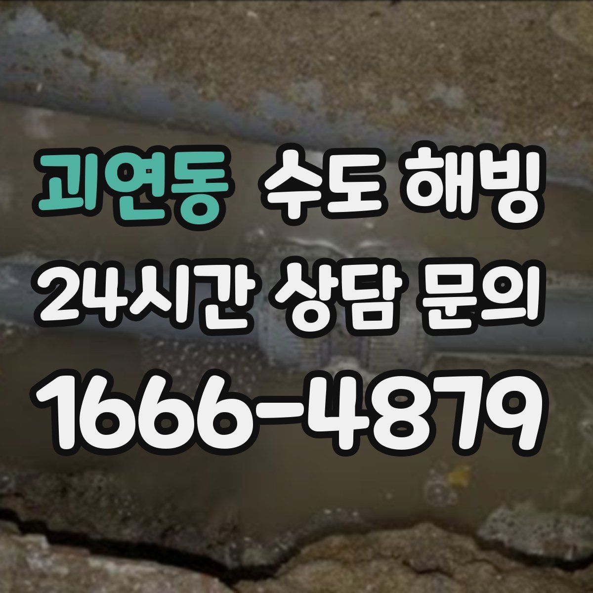 괴연동 수도 해빙