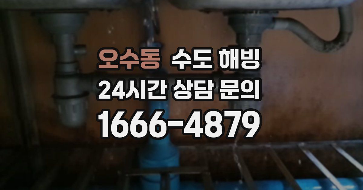 오수동 수도 해빙