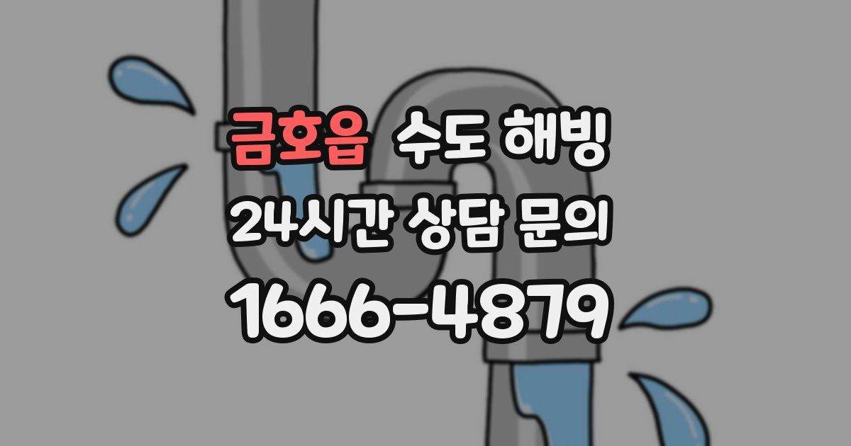 금호읍 수도 해빙