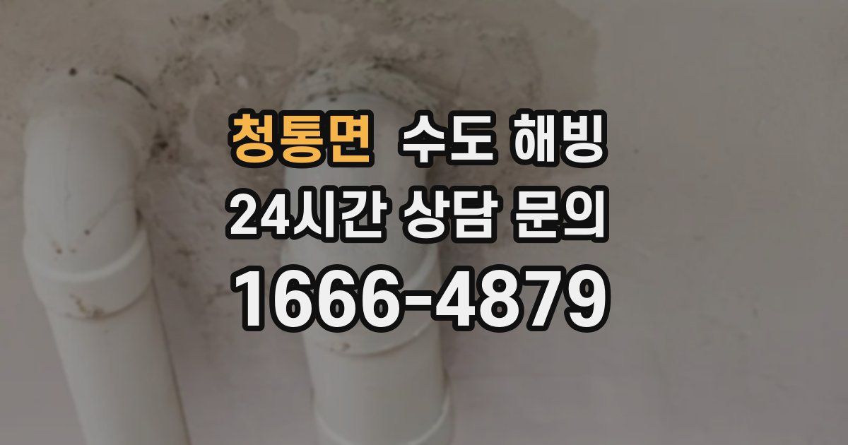 청통면 수도 해빙