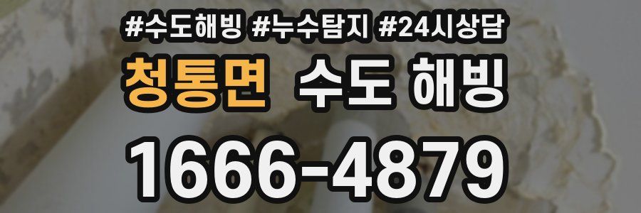 청통면 수도 해빙