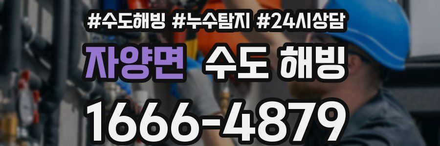 자양면 수도 해빙