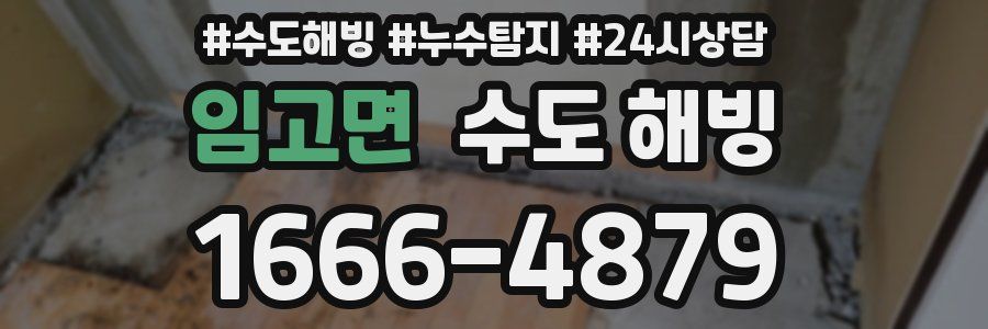 임고면 수도 해빙