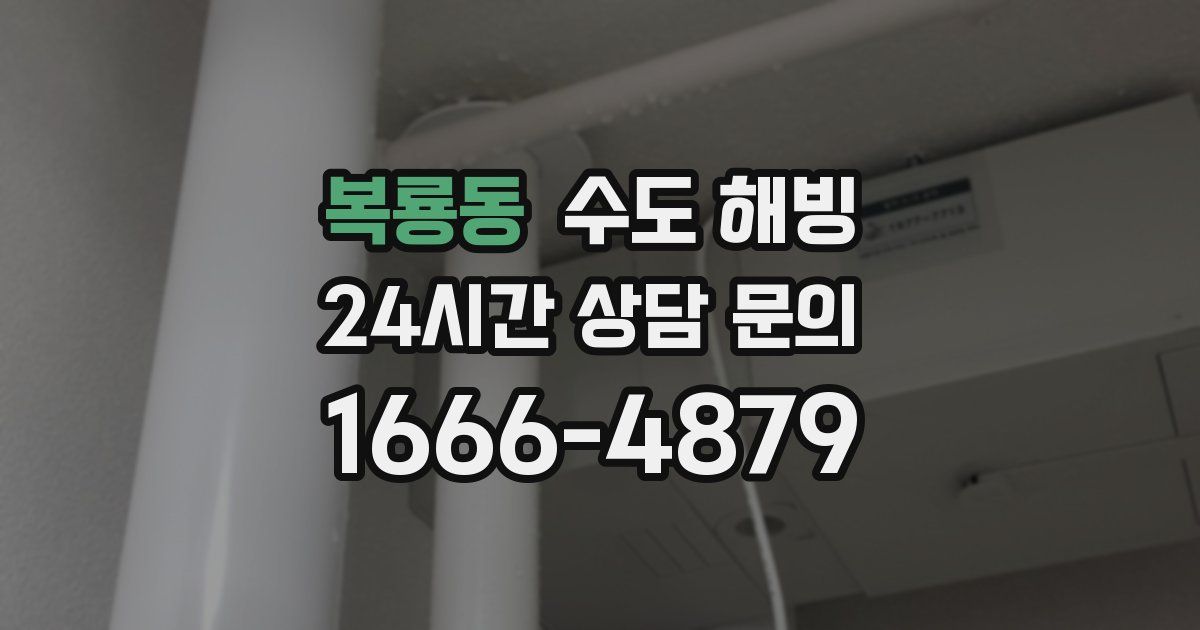 복룡동 수도 해빙