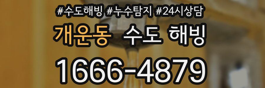 개운동 수도 해빙