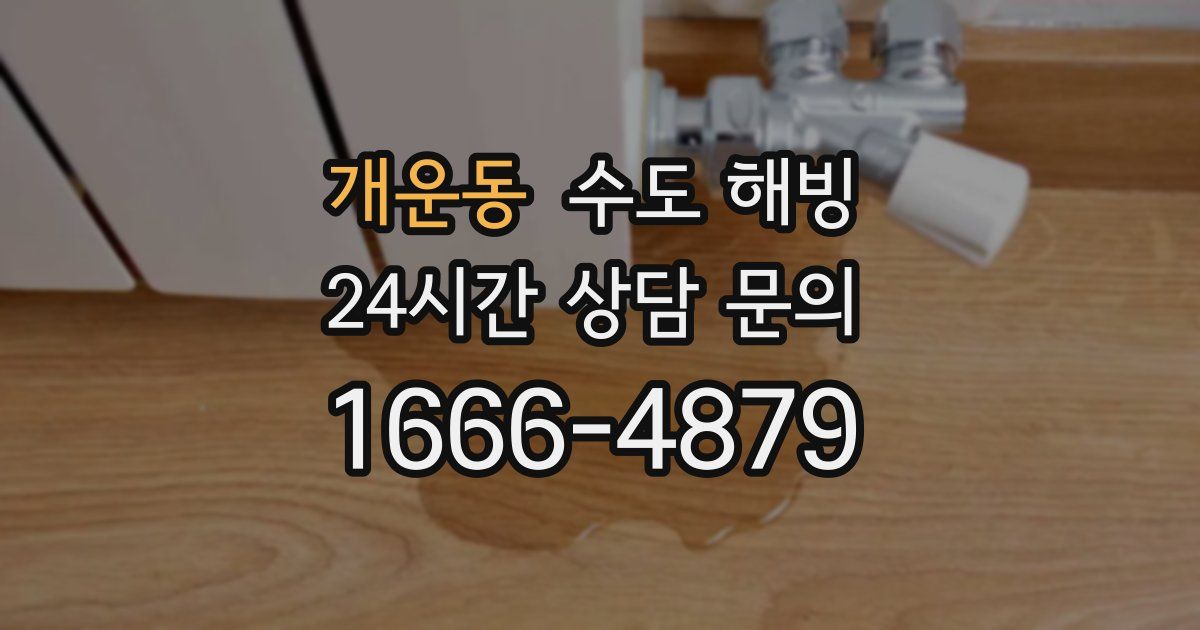 개운동 수도 해빙