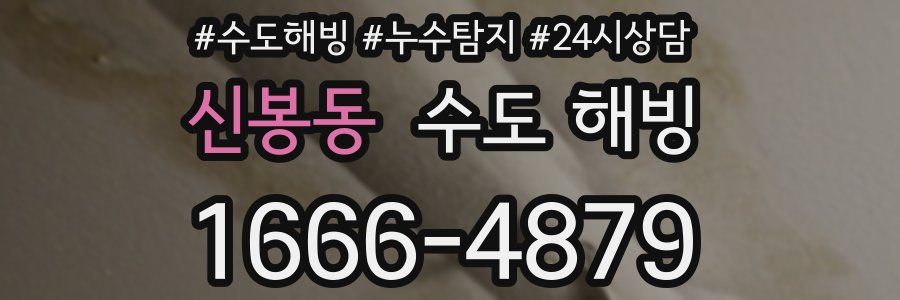 신봉동 수도 해빙