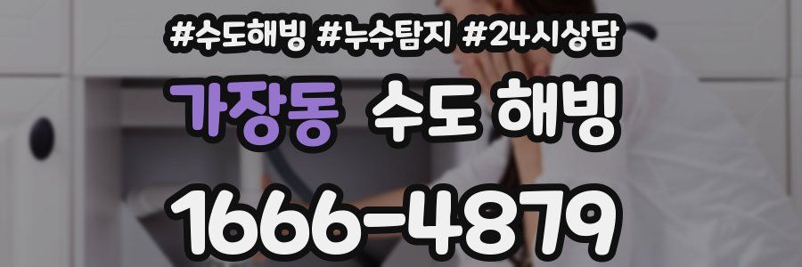 가장동 수도 해빙