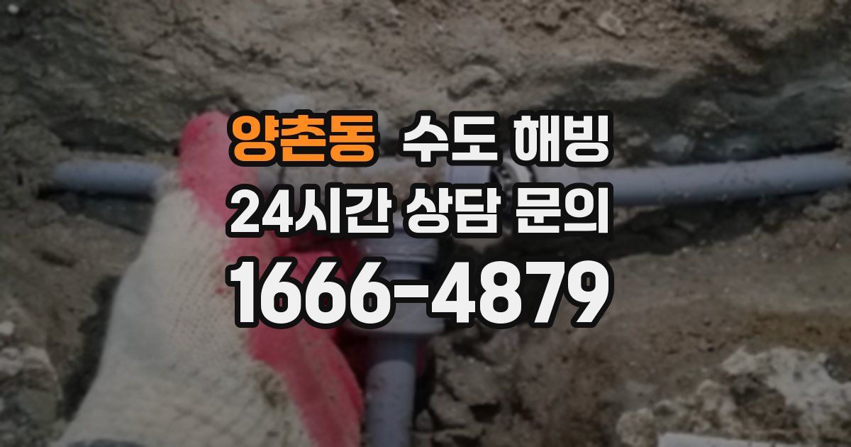 양촌동 수도 해빙