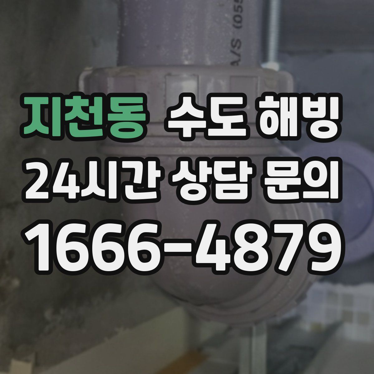 지천동 수도 해빙