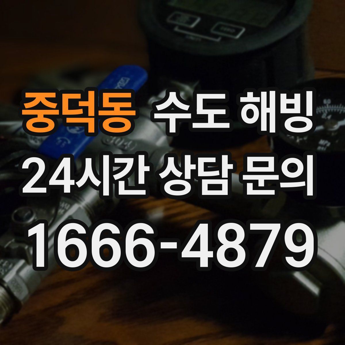 중덕동 수도 해빙