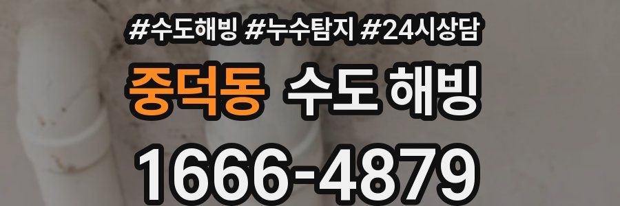 중덕동 수도 해빙