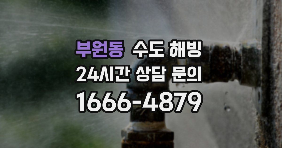 부원동 수도 해빙