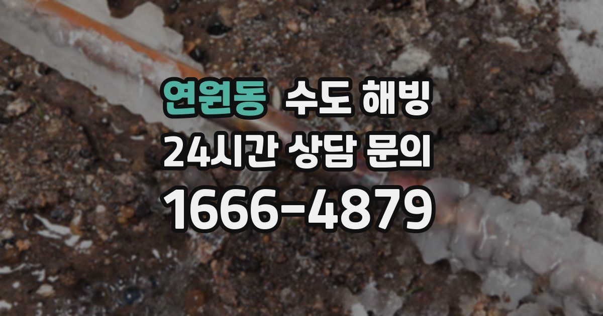 연원동 수도 해빙