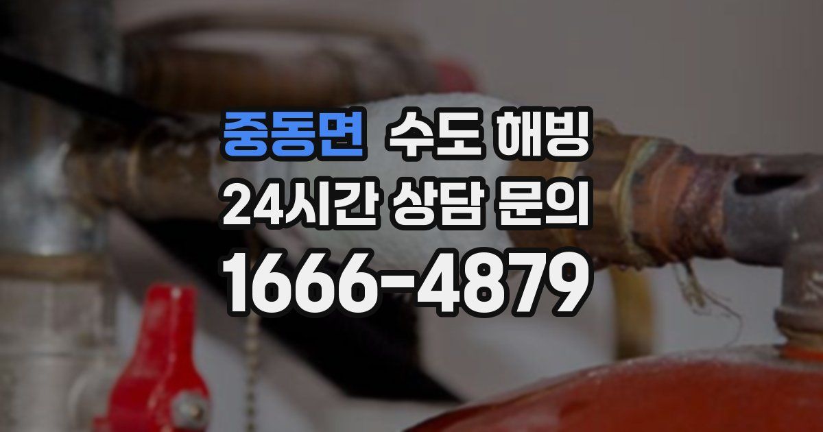 중동면 수도 해빙